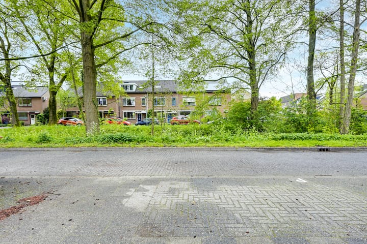 Foto 29 van Treek 38