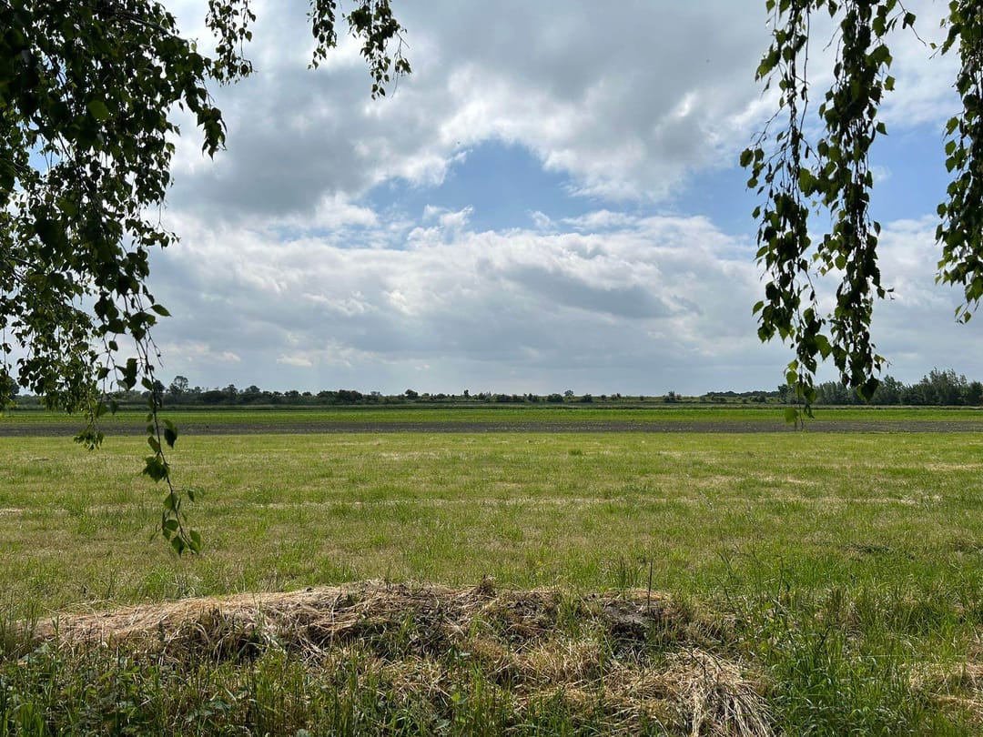 Foto 13 van Den Inkel Chalet 220 / Polderweg 12