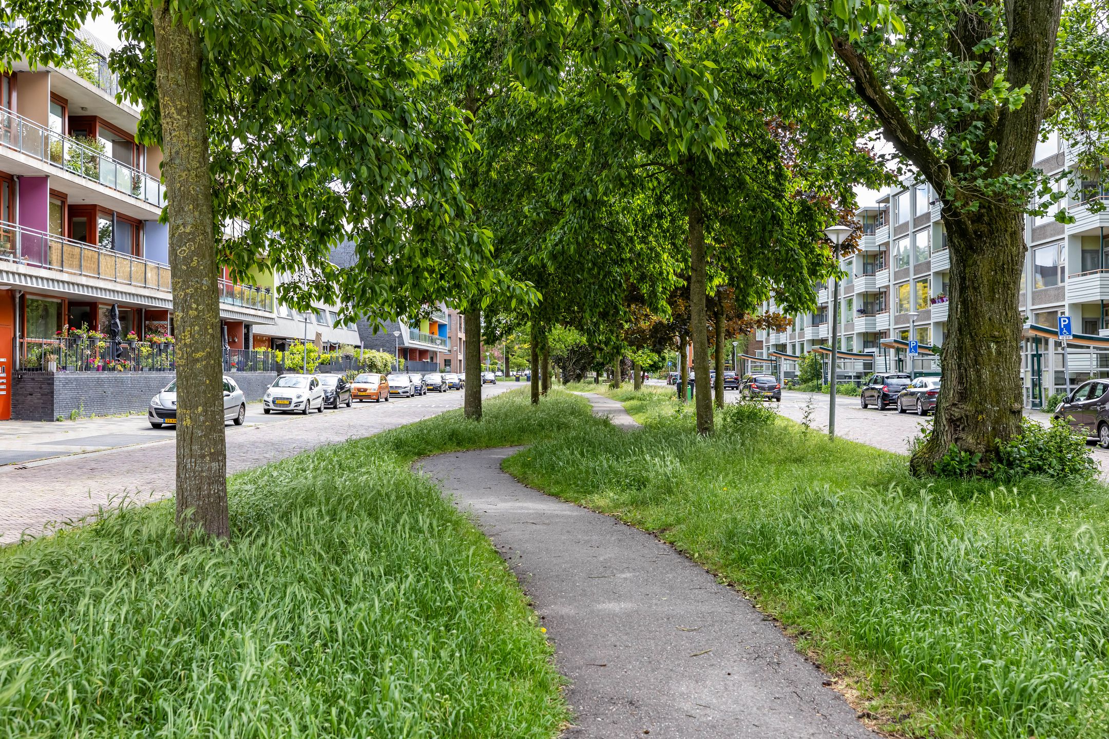 Foto 21 van Jan van Goyenstraat 3-A