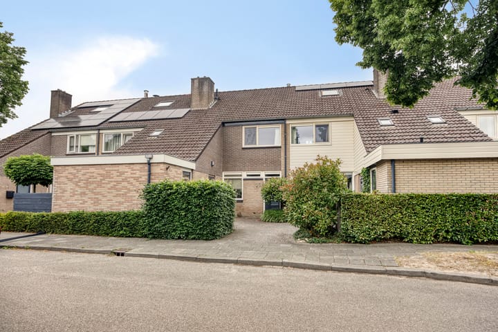 Vlierstraat 24