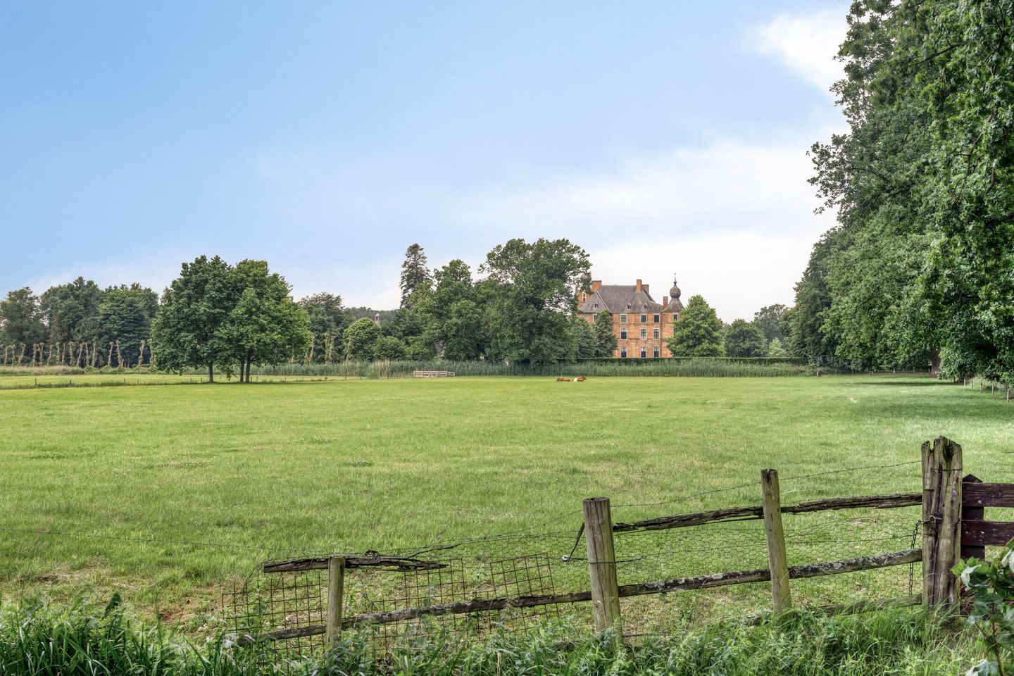 Foto 35 van Vlierstraat 24