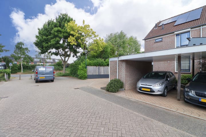 Foto 44 van Grutto 36