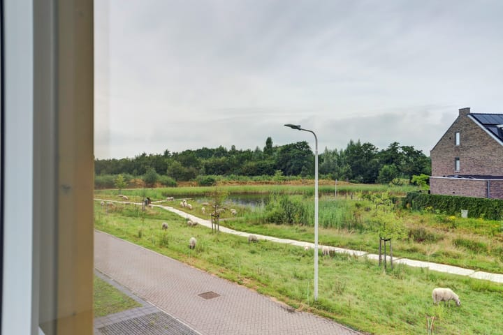 Foto 33 van Korenveld 1