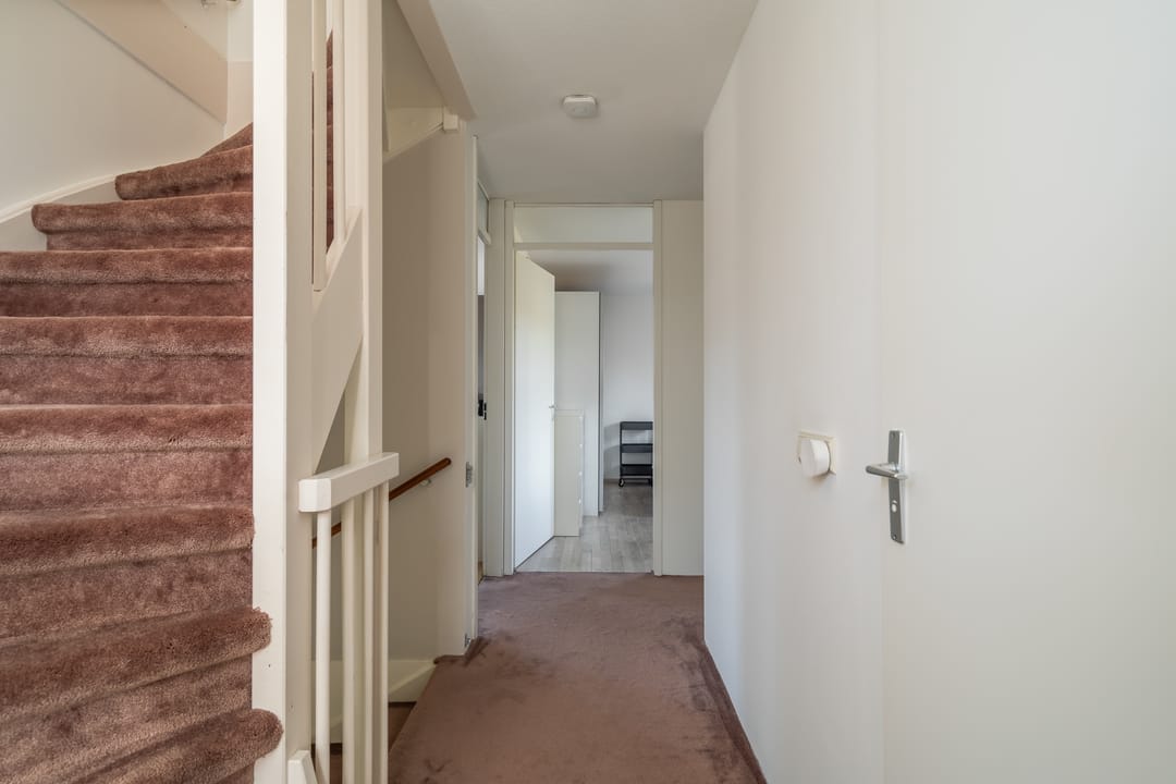 Foto 43 van Willem van Nieuwenhuizenlaan 20