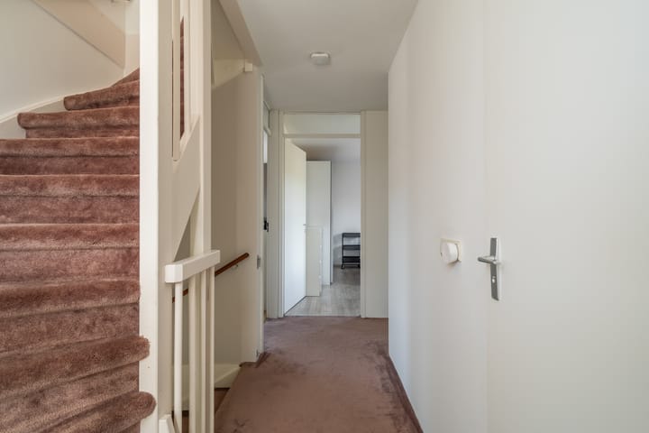 Foto 43 van Willem van Nieuwenhuizenlaan 20