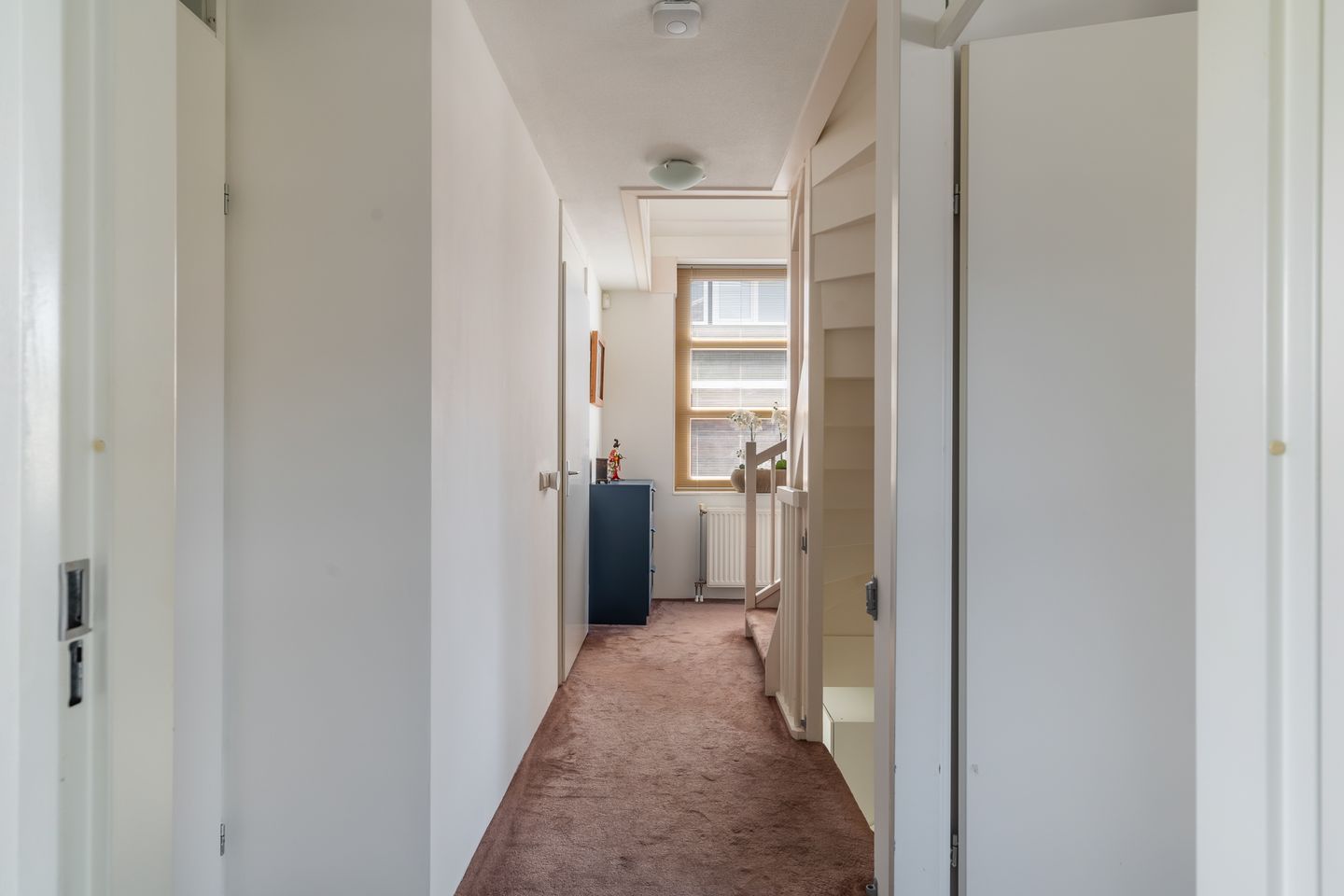 Foto 50 van Willem van Nieuwenhuizenlaan 20