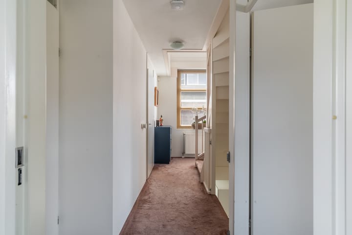 Foto 50 van Willem van Nieuwenhuizenlaan 20