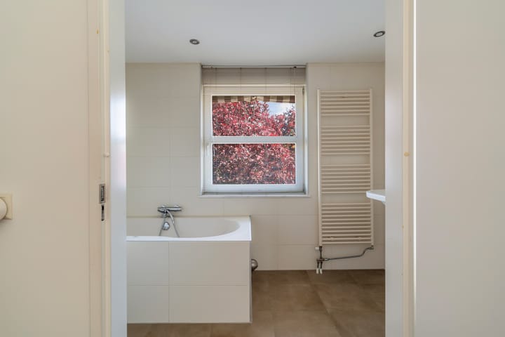 Foto 58 van Willem van Nieuwenhuizenlaan 20