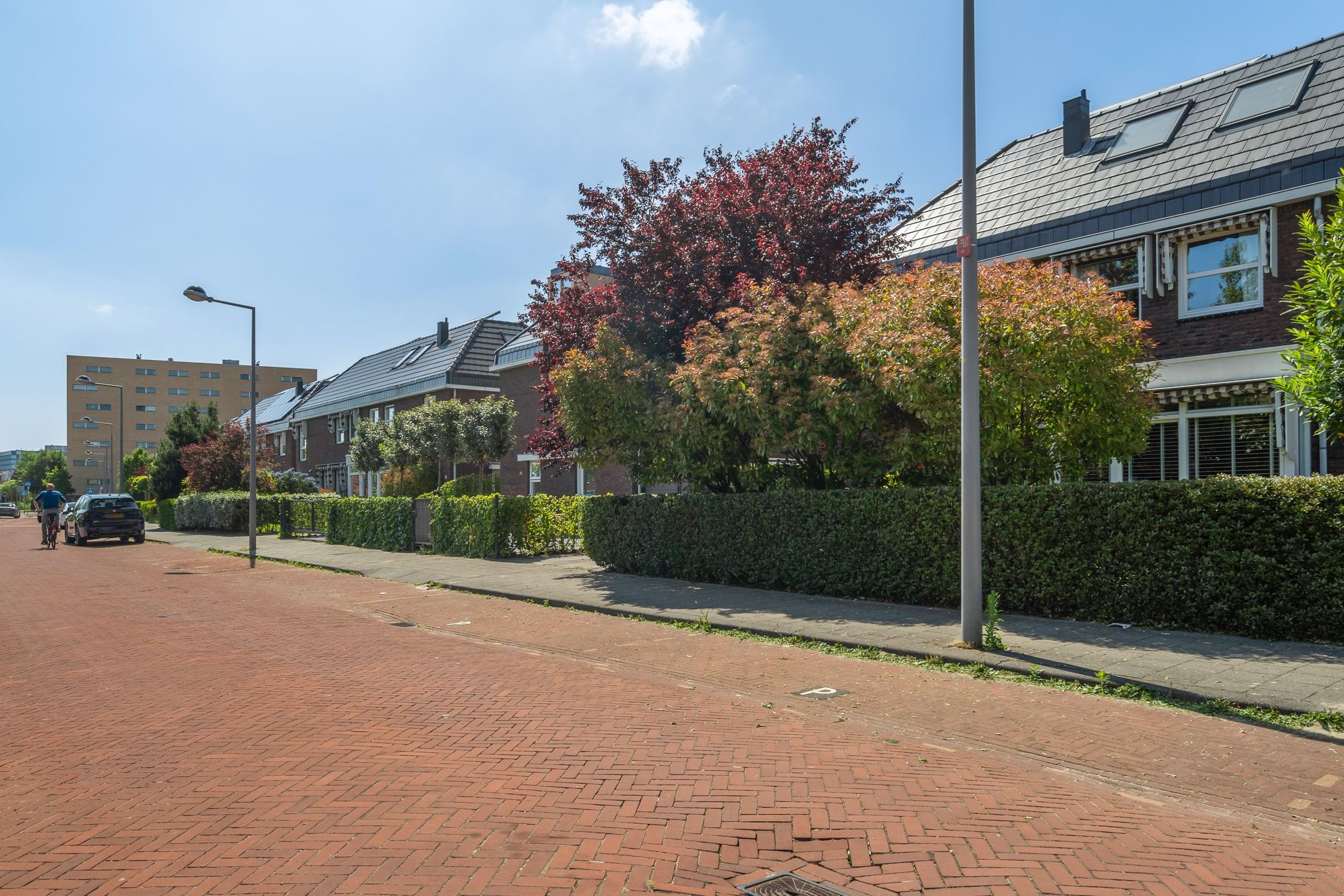 Foto 78 van Willem van Nieuwenhuizenlaan 20