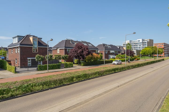 Foto 80 van Willem van Nieuwenhuizenlaan 20