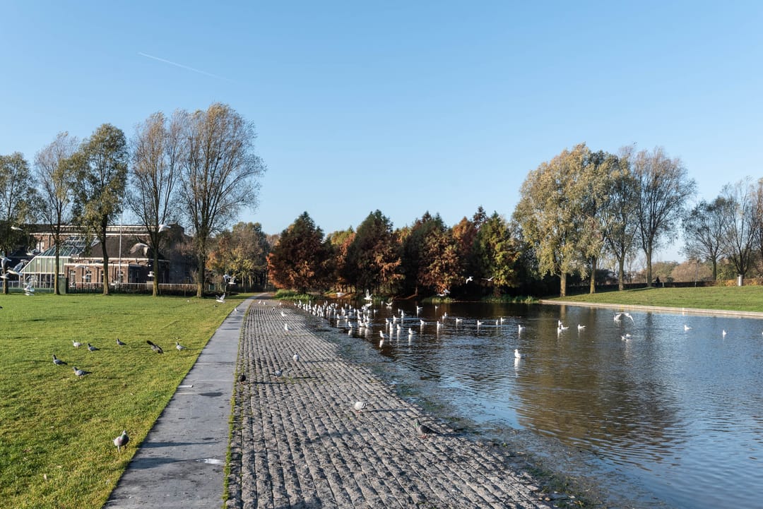 Foto 32 van Bos en Lommerweg 343-1