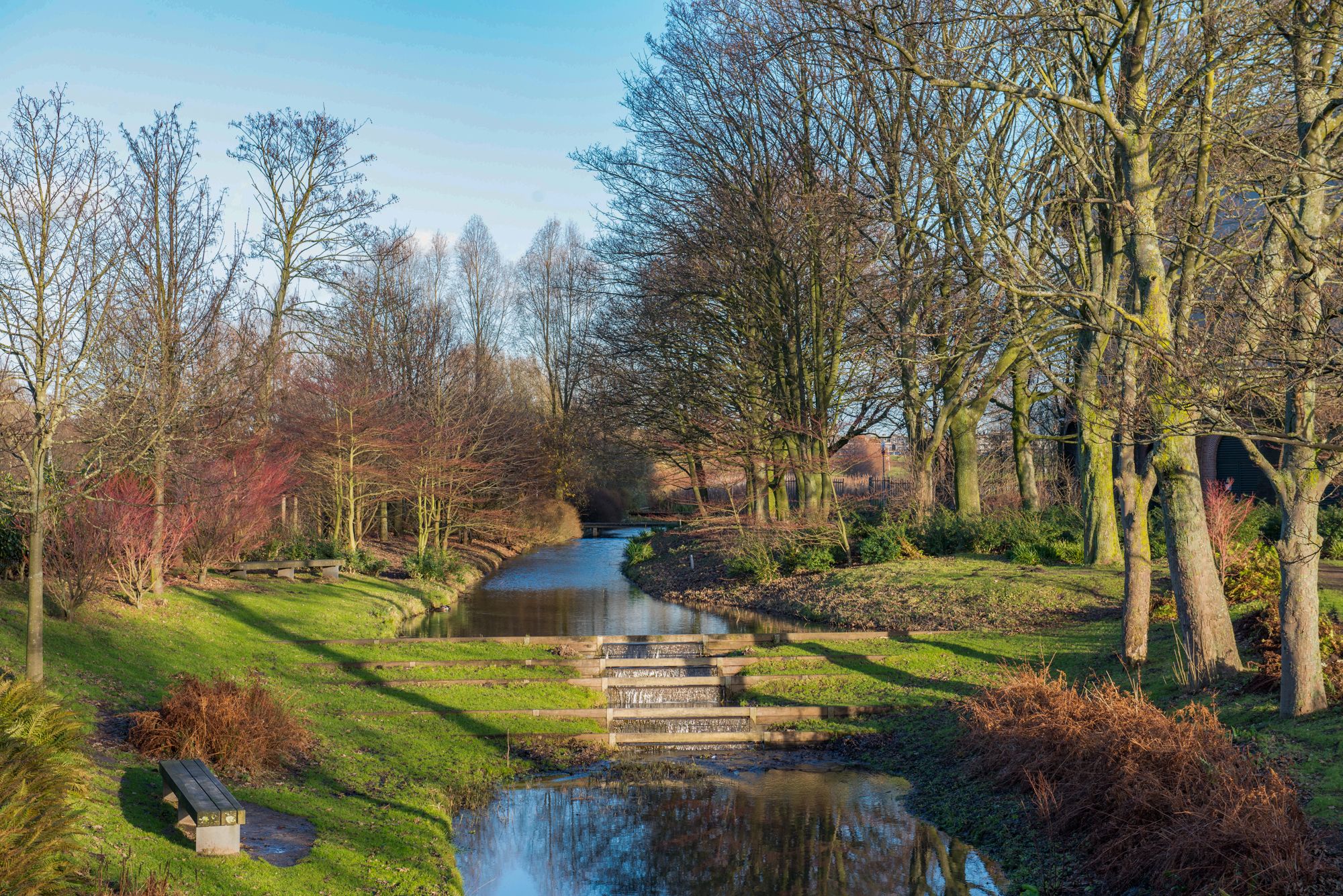 Foto 33 van Bos en Lommerweg 343-1