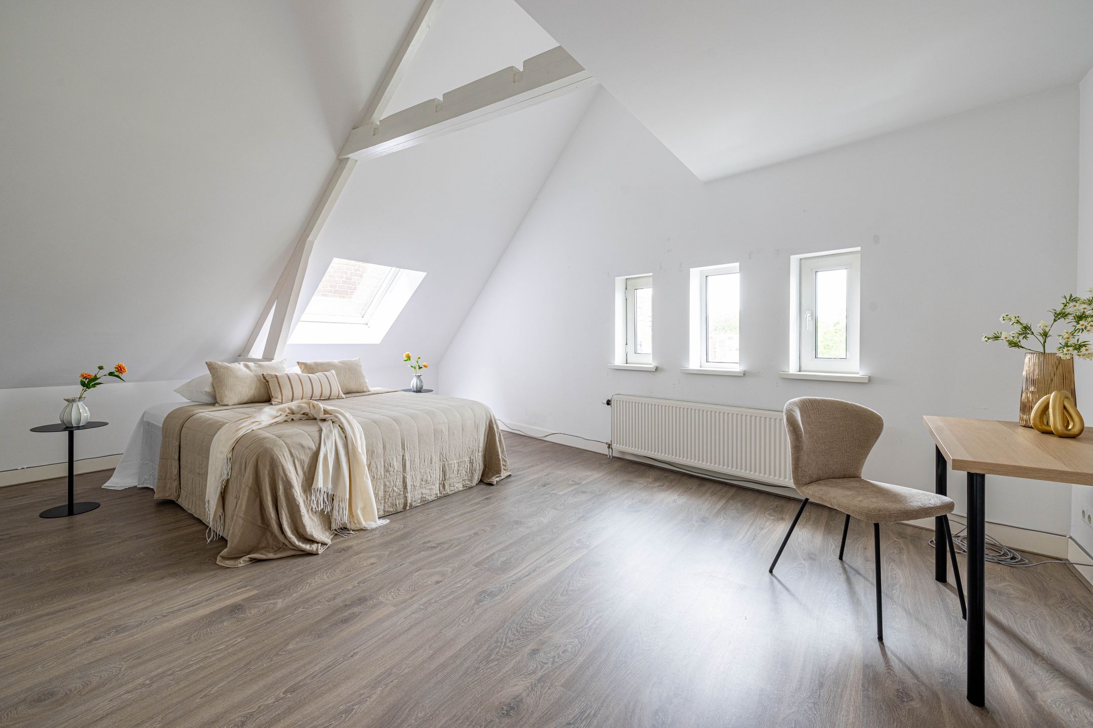 Foto 6 van Oudedijk 169-02