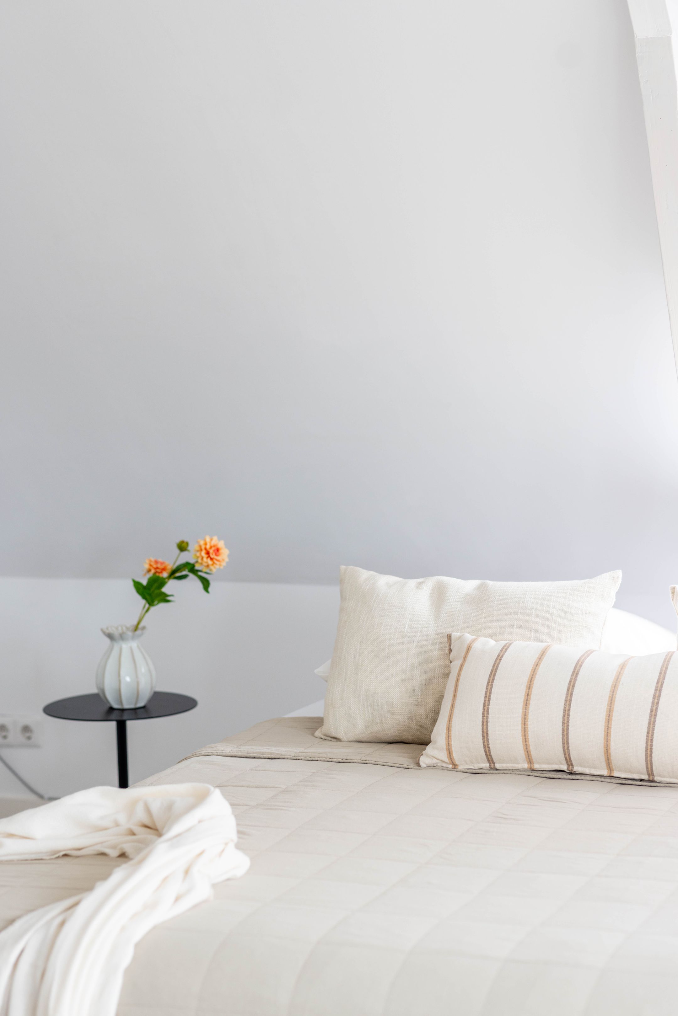 Foto 24 van Oudedijk 169-02