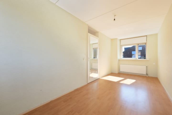 Photo 19 of Pitrus 37