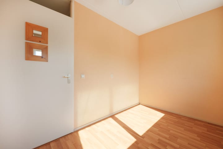 Photo 13 of Pitrus 37