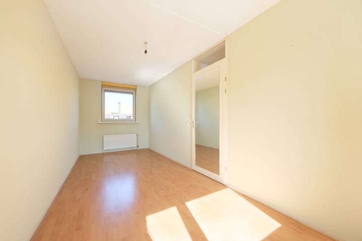 Photo 20 of Pitrus 37