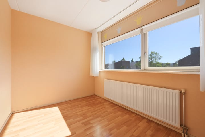 Photo 12 of Pitrus 37