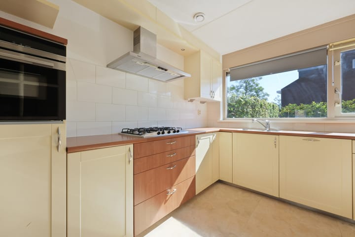 Photo 6 of Pitrus 37