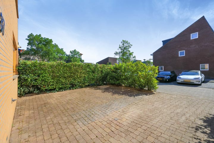 Photo 11 of Pitrus 37