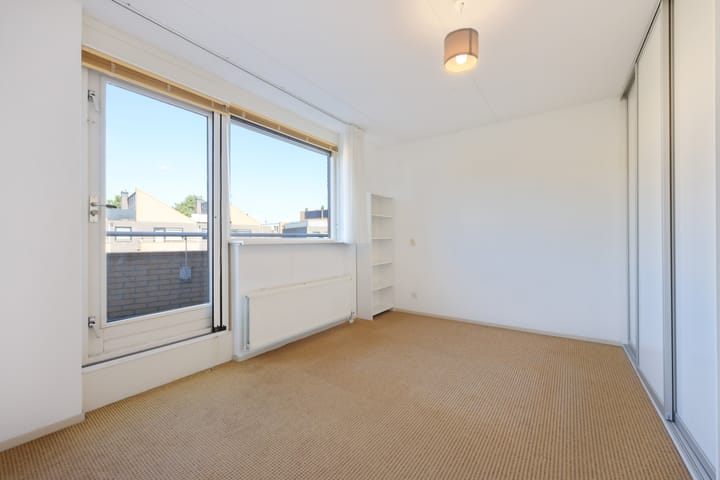 Photo 21 of Pitrus 37