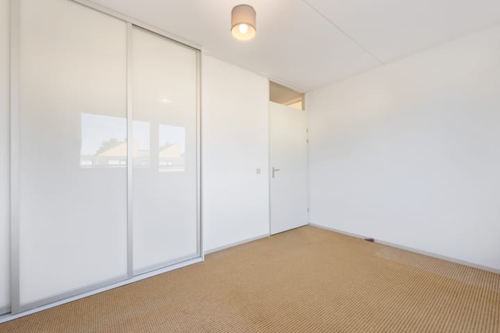 Photo 23 of Pitrus 37