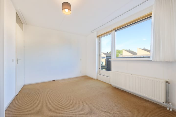 Photo 22 of Pitrus 37