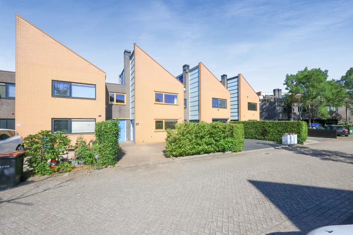 Photo 28 of Pitrus 37