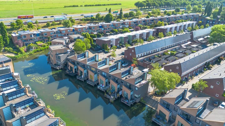 Photo 29 of Pitrus 37