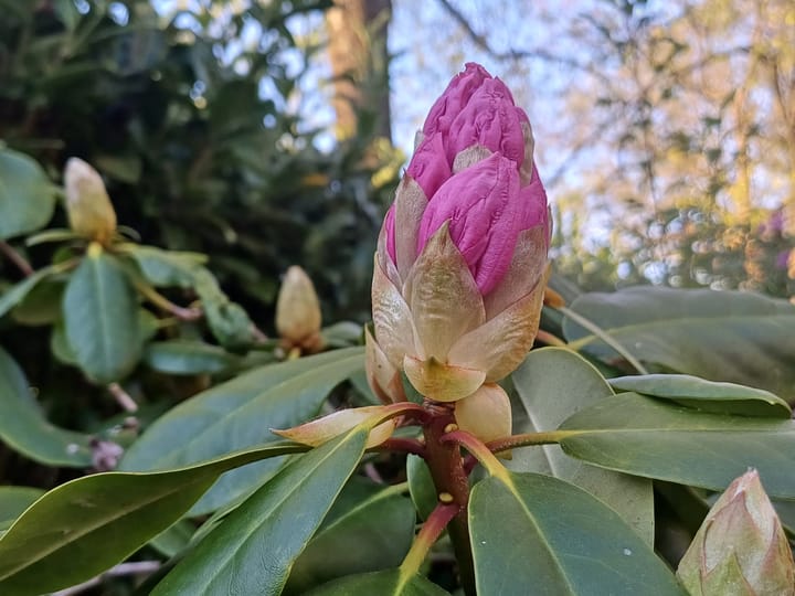 Foto 32 van Jut van Breukelerwaardlaan 8