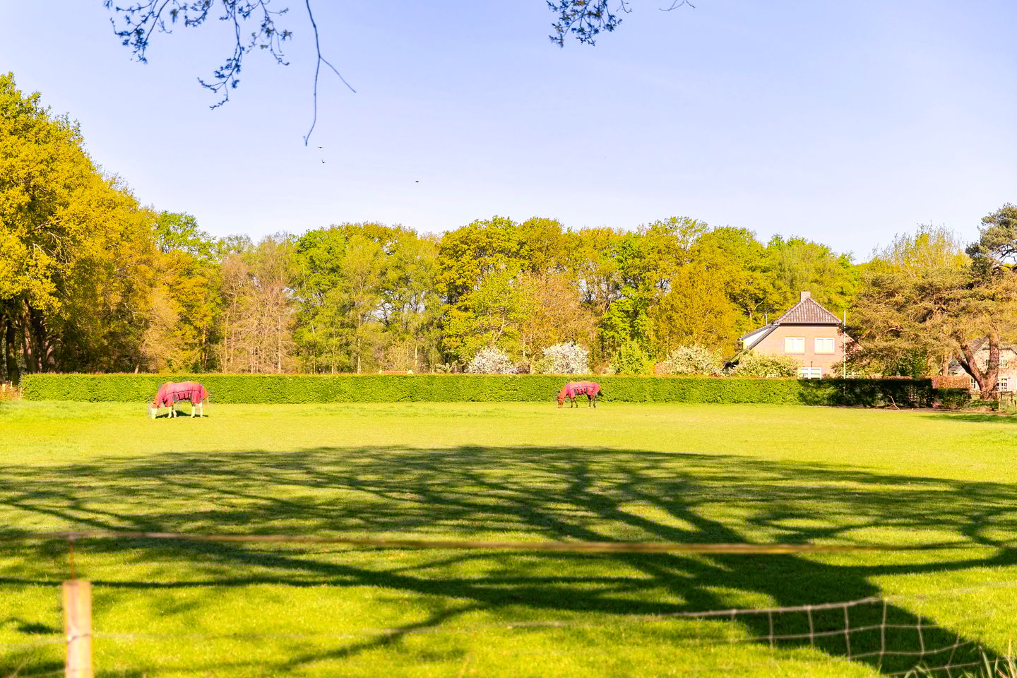 Foto 49 van Jut van Breukelerwaardlaan 8