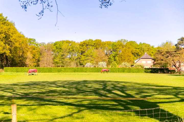 Foto 49 van Jut van Breukelerwaardlaan 8