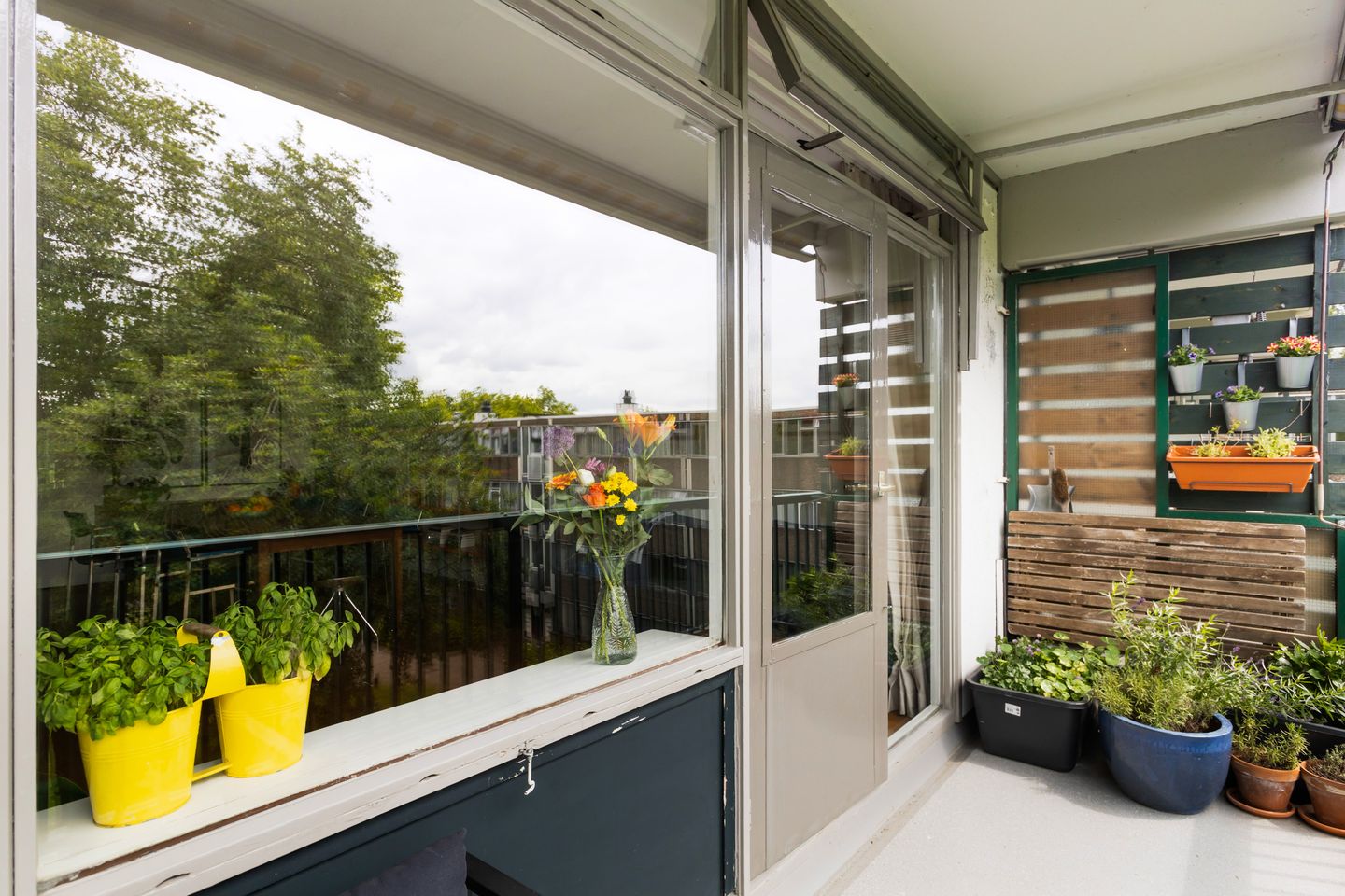 Foto 10 van Fokkezeil 27