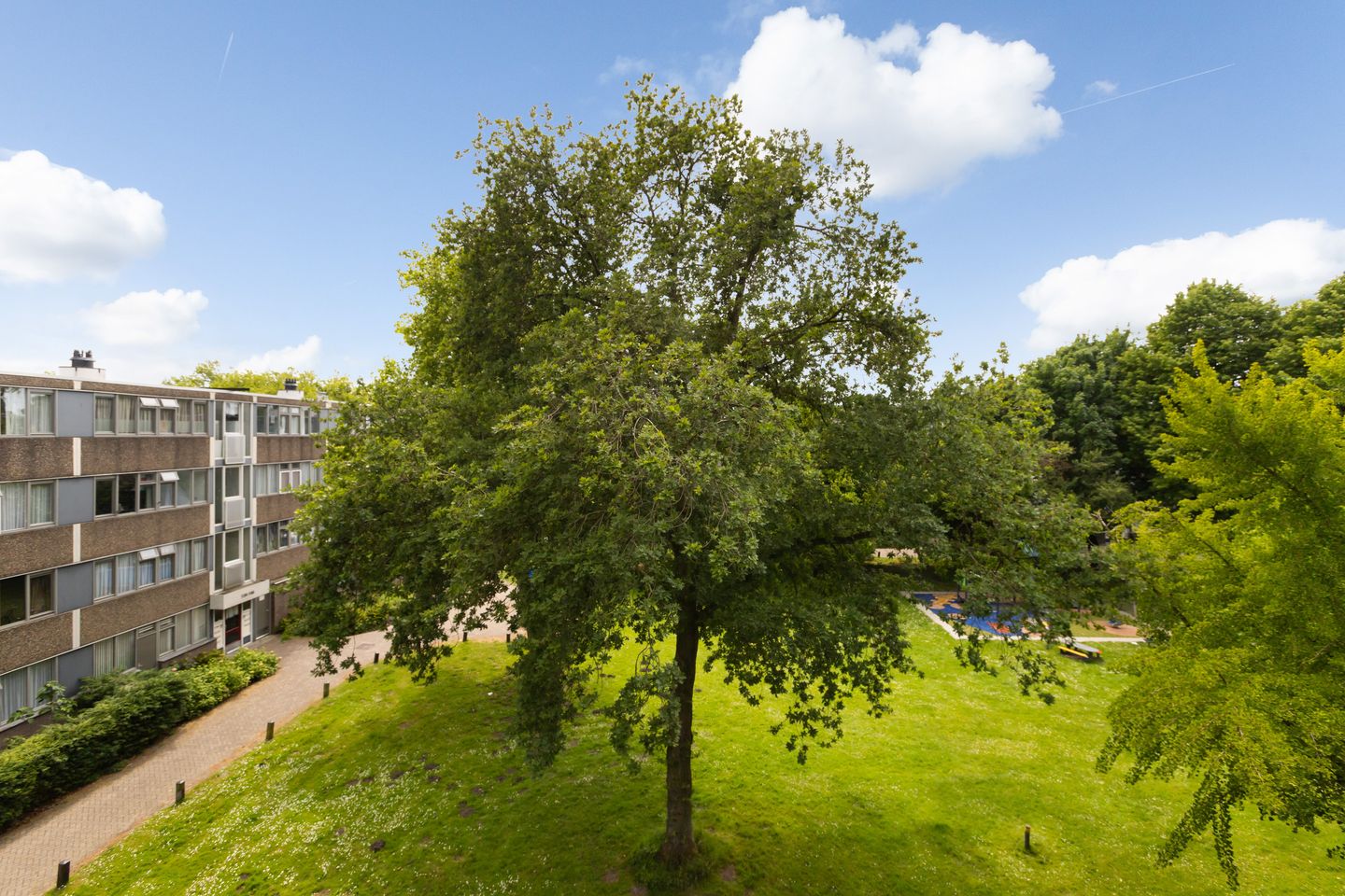 Foto 20 van Fokkezeil 27