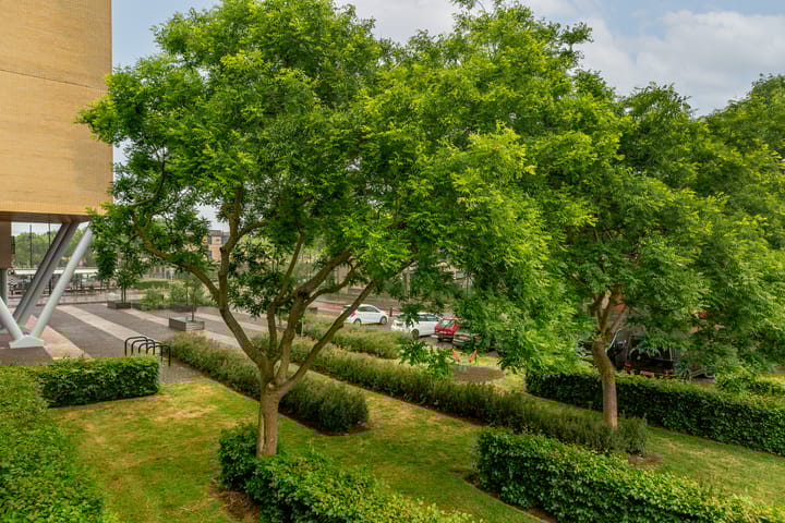 Foto 32 van Konijnenburg 11