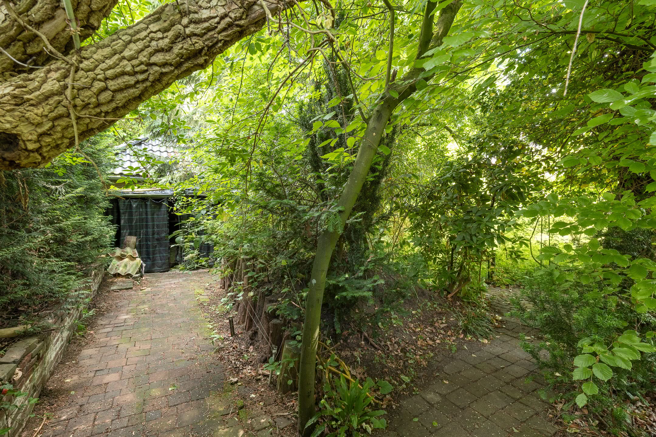 Foto 51 van Mevrouw Leinweberlaan 15