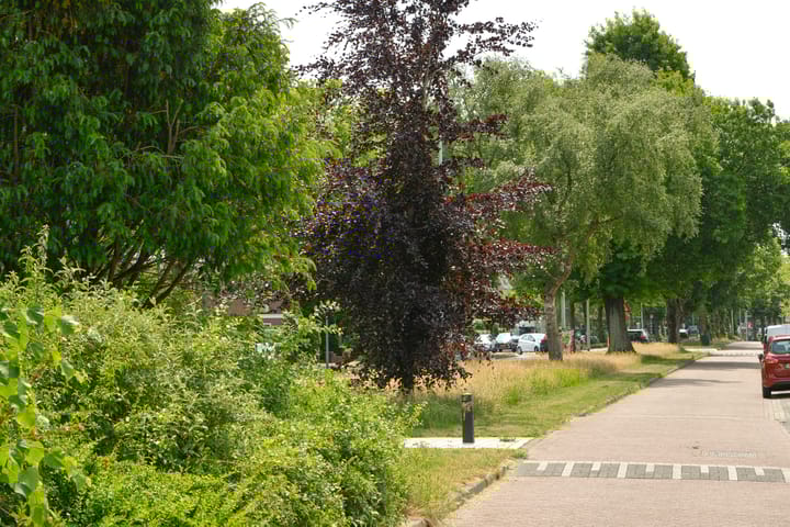 Foto 26 van Karel Doormanlaan 59