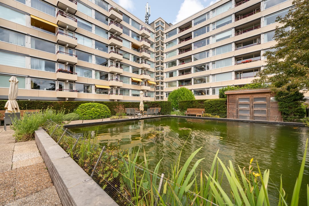 Photo 13 of Zandvoorter Allee 166