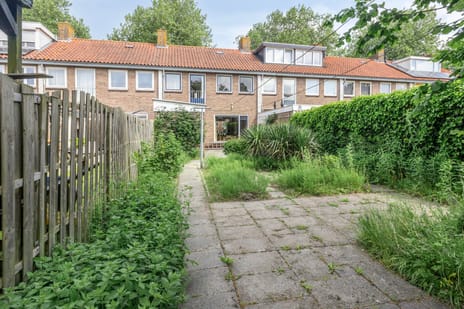 Schokkerwal 3 tertiary image