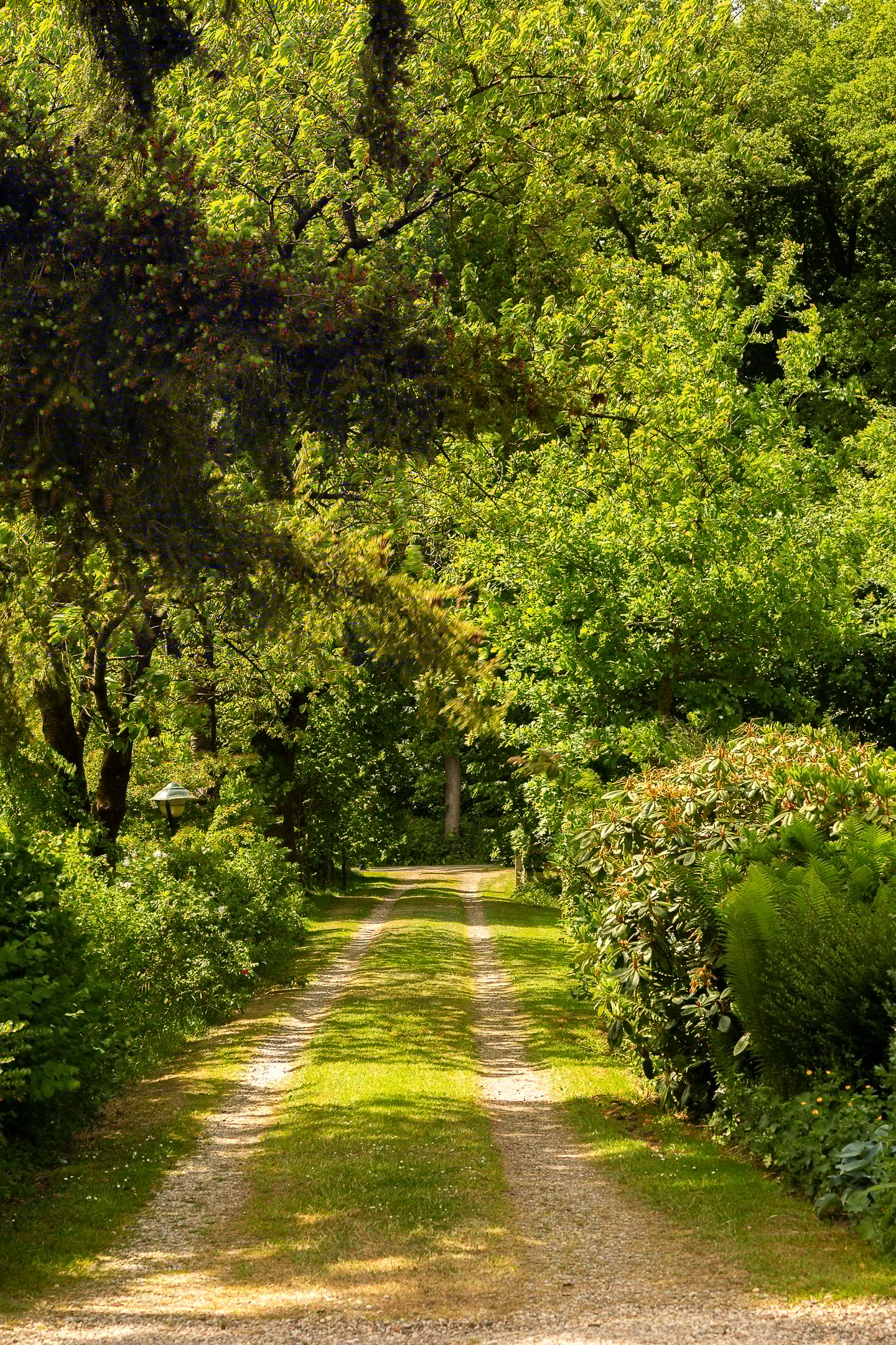 Foto 5 van Tolstraat 4