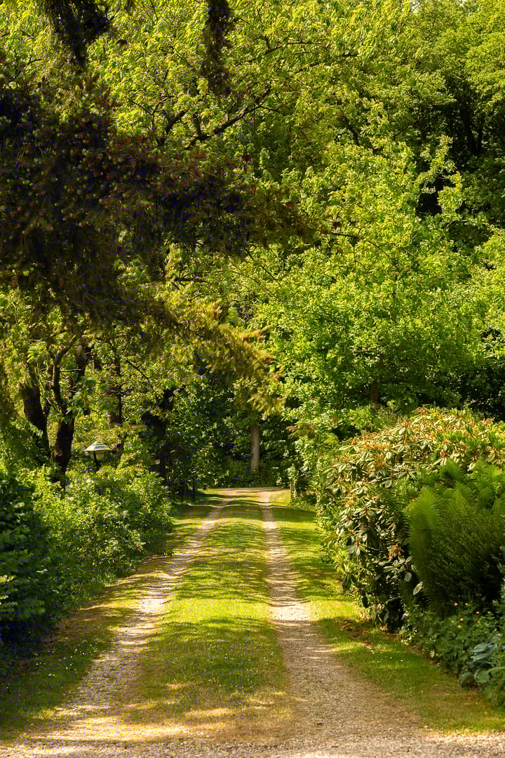 Foto 5 van Tolstraat 4