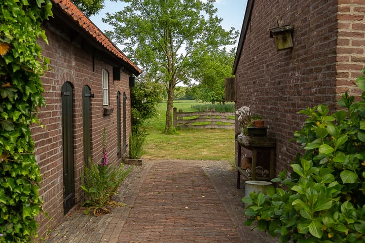 Foto 7 van Tolstraat 4