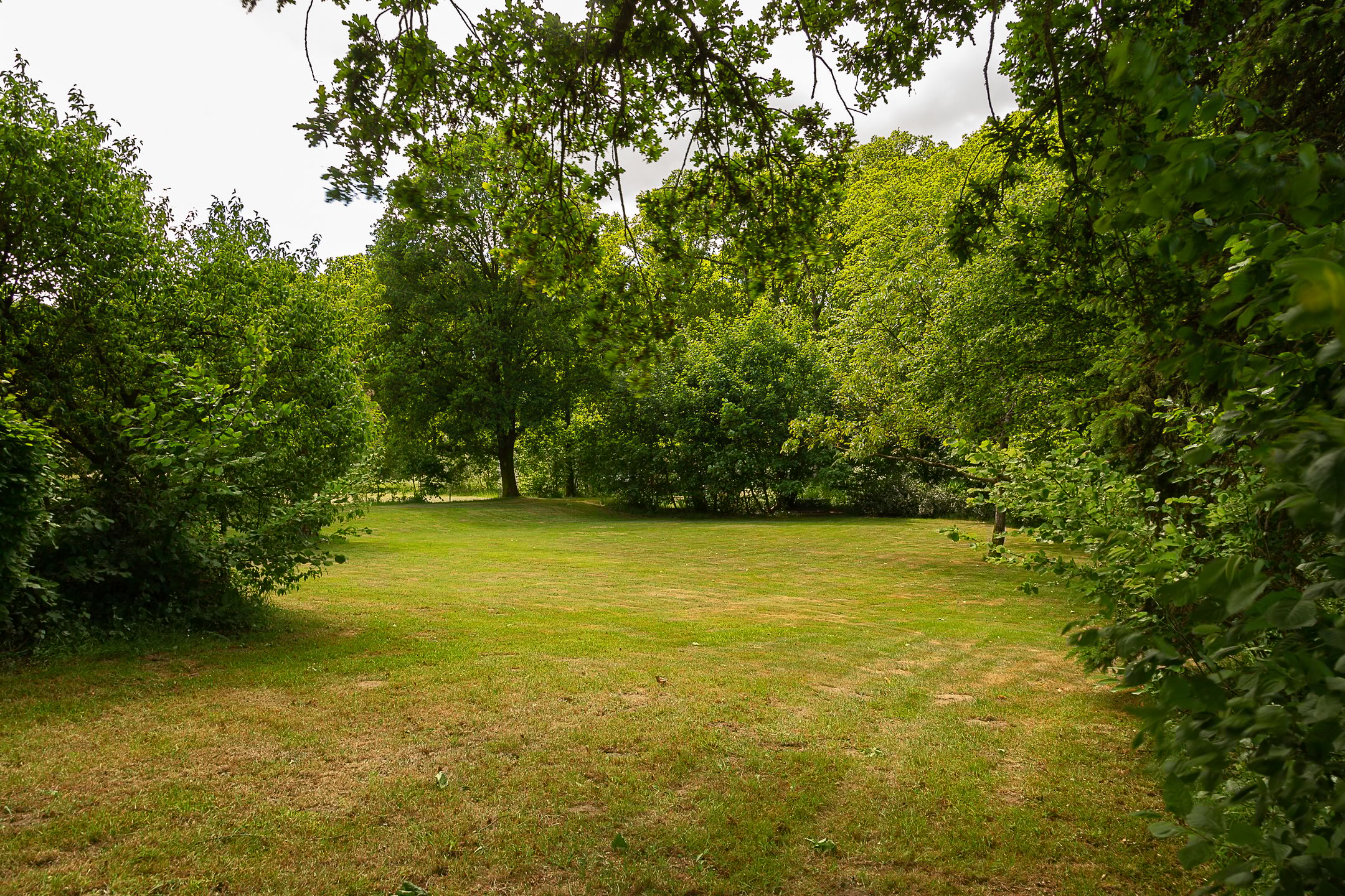 Foto 9 van Tolstraat 4