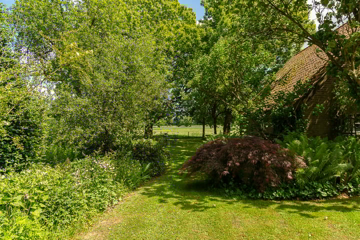 Foto 10 van Tolstraat 4