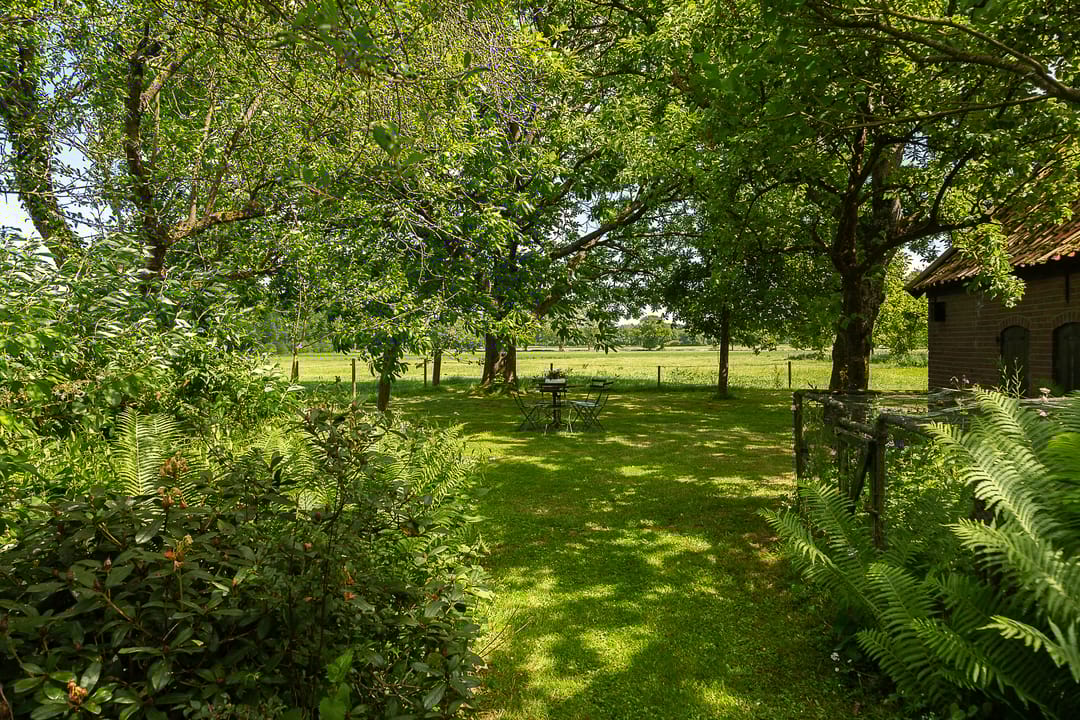 Foto 11 van Tolstraat 4