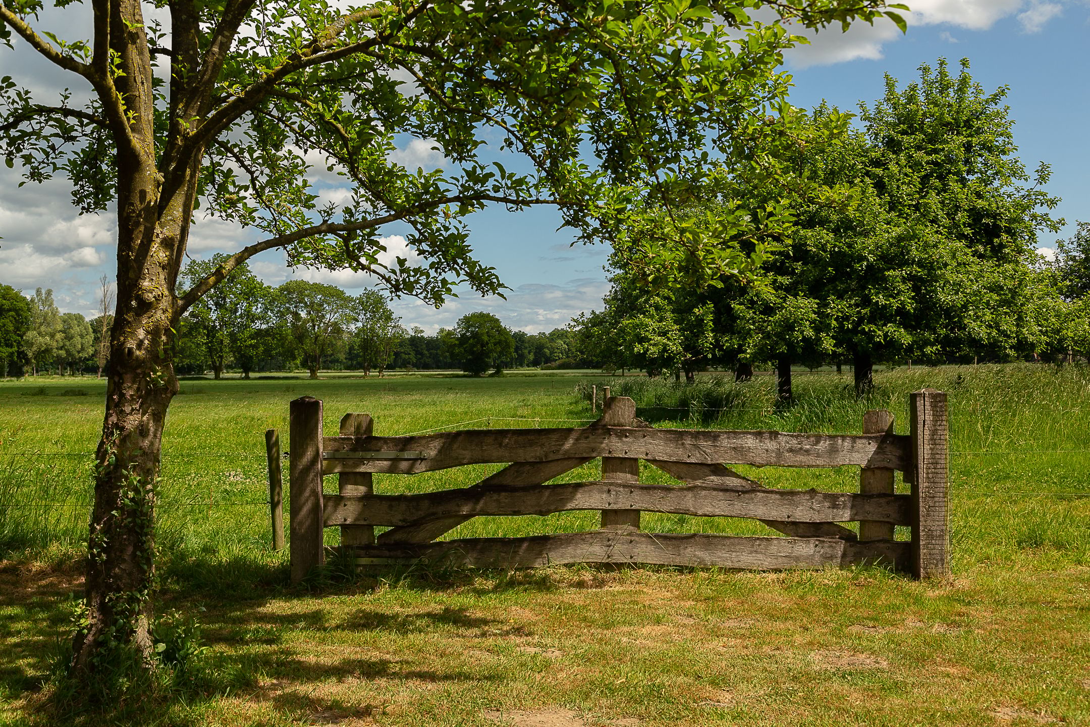 Foto 12 van Tolstraat 4