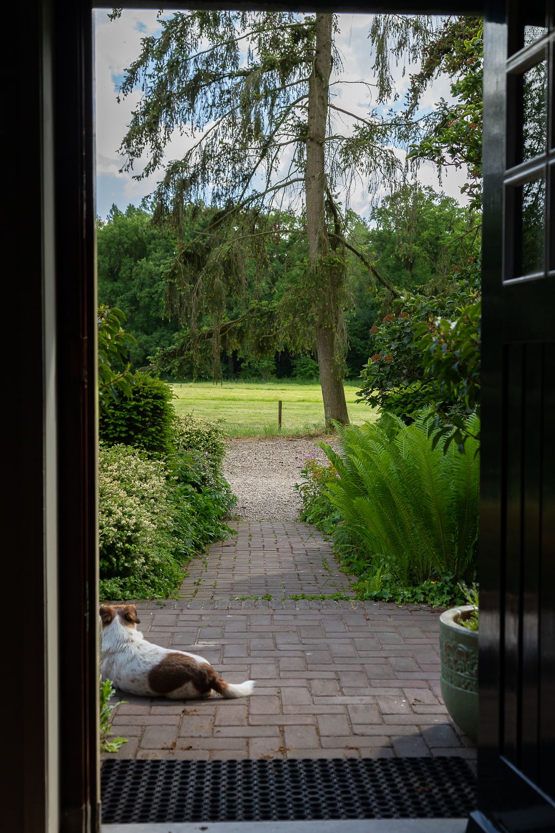 Foto 37 van Tolstraat 4