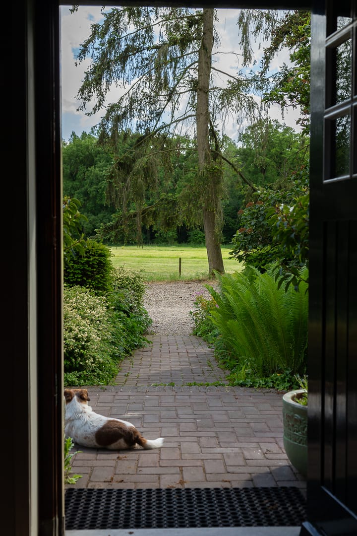 Foto 37 van Tolstraat 4