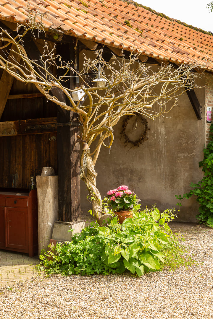 Foto 38 van Tolstraat 4