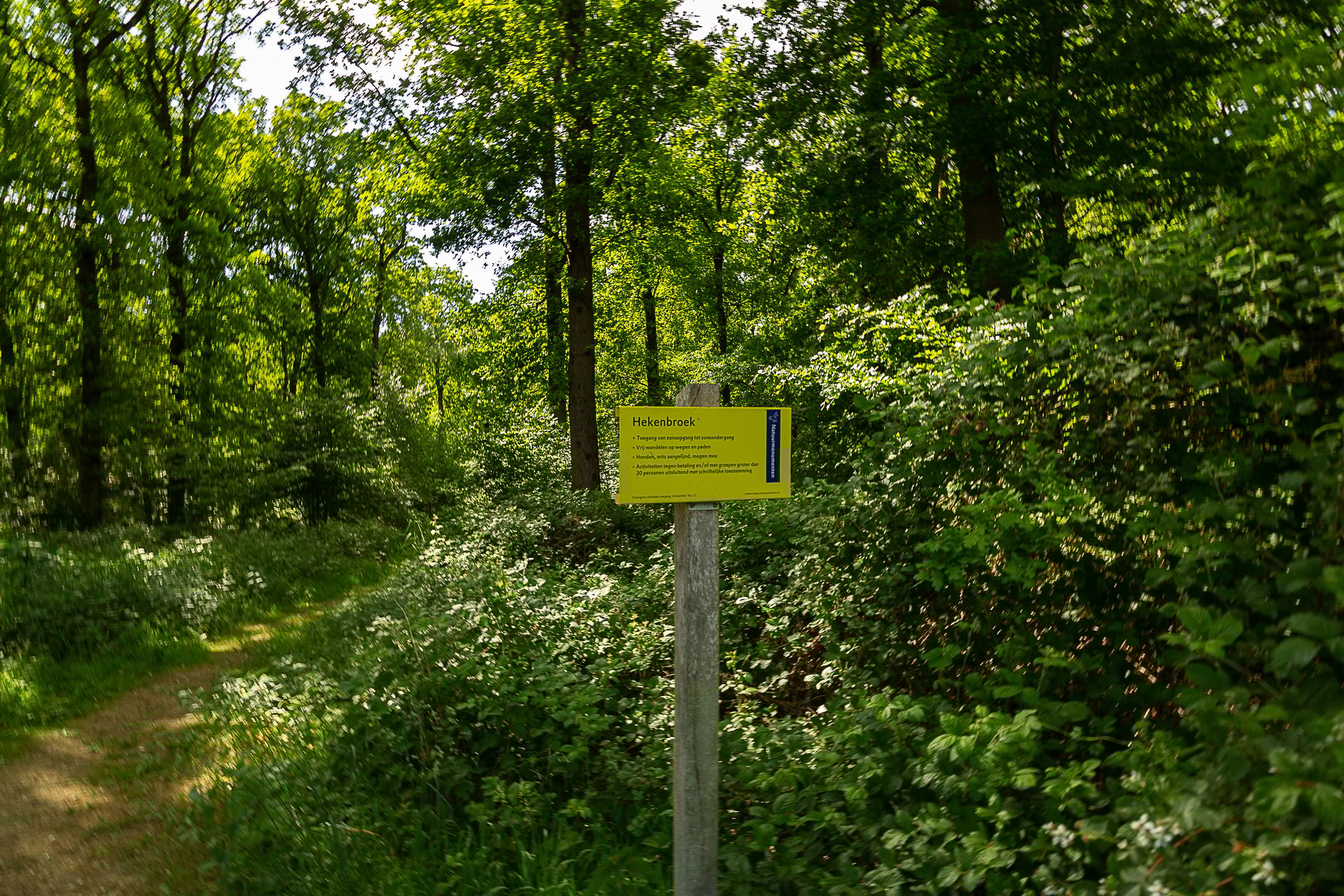 Foto 45 van Tolstraat 4